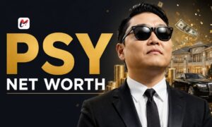 The Global Impact of Stardom on the Psy Net Worth