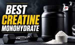 Best Creatine Monohydrate A Complete Guide to Better Strength and Performance (2)