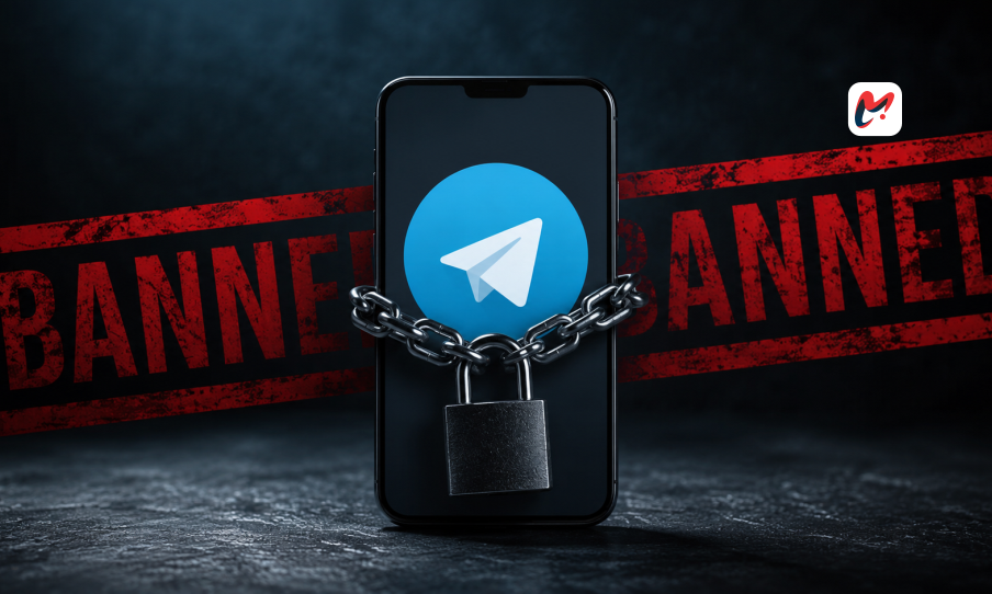 The Digital Divide Evaluating the Far Reaching Consequences of a Telegram Ban